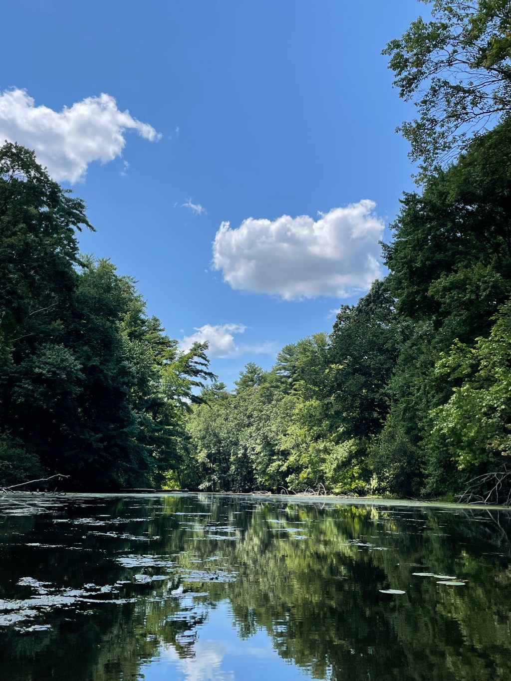 Reconnecting with Nature: Combatting Modern&nbsp;Distractions